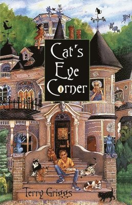 Cat's Eye Corner