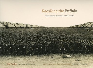 Ken Tingley - Recalling the Buffalo, Häftad