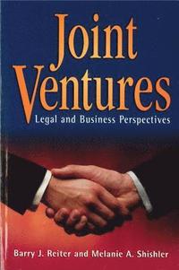 bokomslag Joint Ventures