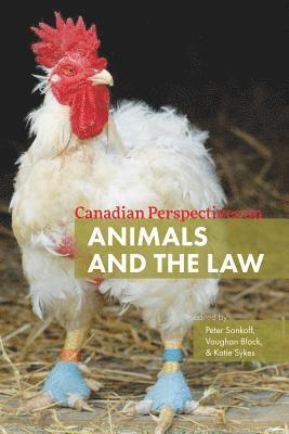 Peter Sankoff, Vaughan Black, Katie Sykes - Canadian Perspectives on Animals and the Law, Häftad