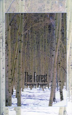 The Forest 1