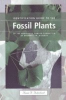 bokomslag Identification Guide to the Fossil Plants of the Horseshoe Canyon Formation of Drumheller, Alberta