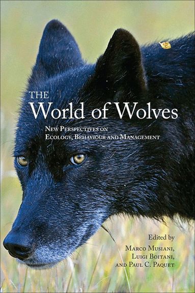Marco Musiani, Luigi Boitani, Paul Paquet - World of Wolves, Häftad