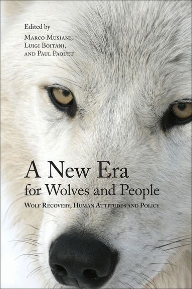 Marco Musiani, Luigi Boitani, Paul Paquet - New Era for Wolves and People, Häftad
