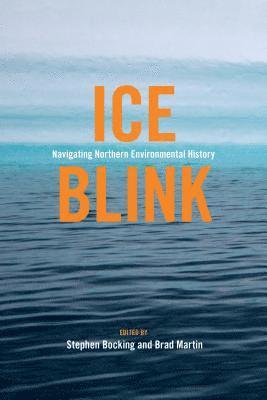 bokomslag Ice Blink: Navigating Northern Environmental History