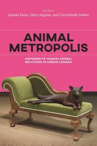 bokomslag Animal Metropolis