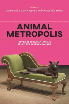 Animal Metropolis 1