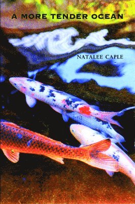Natalee Caple - More Tender Ocean, Häftad