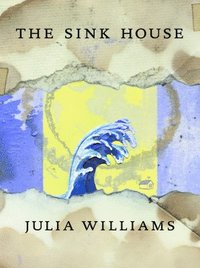 bokomslag The Sink House