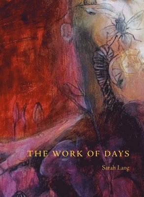 bokomslag Work of Days