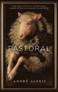 bokomslag Pastoral
