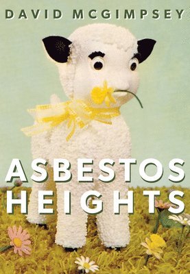 bokomslag Asbestos Heights