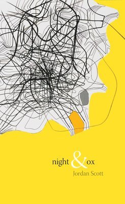 Night & Ox 1