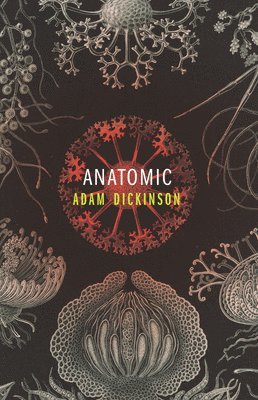 Adam Dickinson - Anatomic, Häftad