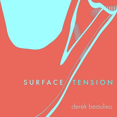 Derek Beaulieu - Surface Tension, Häftad