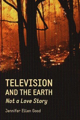 bokomslag Television and the Earth