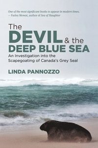 bokomslag The Devil and the Deep Blue Sea