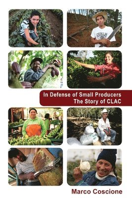 bokomslag In Defense of Small Producers