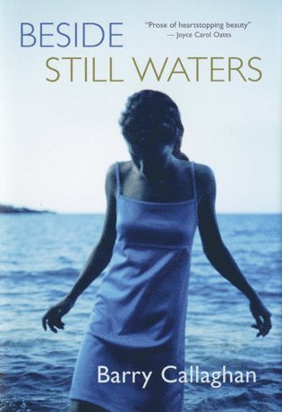 Barry Callaghan - Beside Still Waters, Inbunden