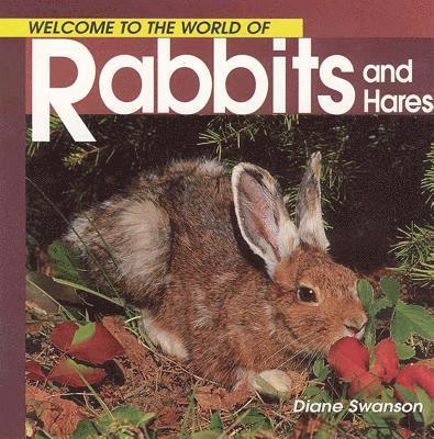 Welcome to the World of Rabbits and Hares 1