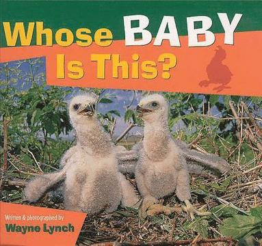 Wayne Lynch - Whose Baby Is This?, Häftad