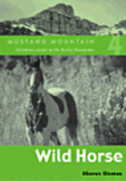 bokomslag Wild Horse