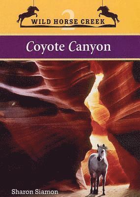 Coyote Canyon 1