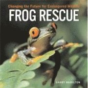 bokomslag Frog Rescue