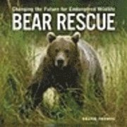 bokomslag Bear Rescue