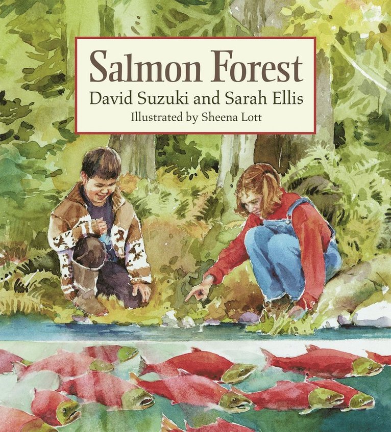 Salmon Forest 1