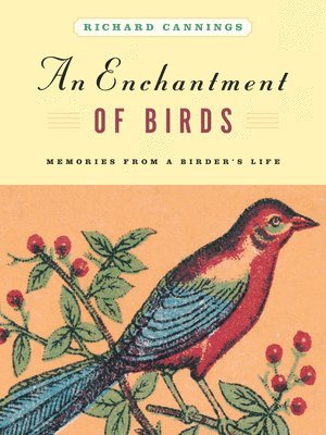 Enchantment of Birds