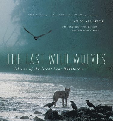 The Last Wild Wolves 1