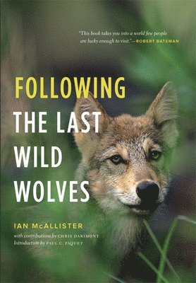 bokomslag Following the Last Wild Wolves