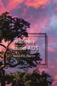 bokomslag What Really Causes AIDS