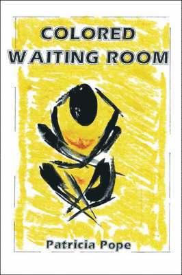 Patricia G. Pope, Patricia Pope - Colored Waiting Room, Häftad