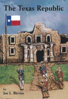 bokomslag Texas Republic