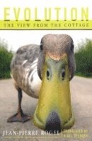 Evolution: The View from the Cottage