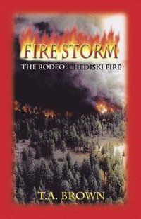 bokomslag Fire Storm