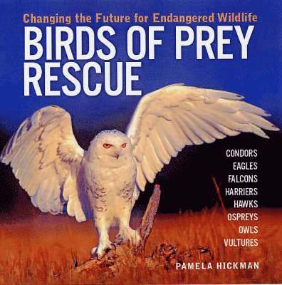 Pamela Hickman - Birds of Prey Rescue, Häftad