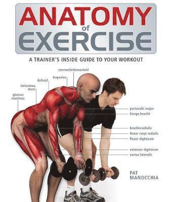bokomslag Anatomy of Exercise