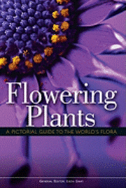 bokomslag Flowering Plants: A Pictorial Guide to the World's Flora