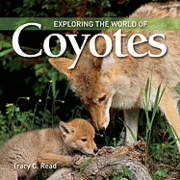 Tracy C. Read - Exploring the World of Coyotes, Häftad