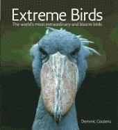 bokomslag Extreme Birds: The World's Most Extraordinary and Bizarre Birds
