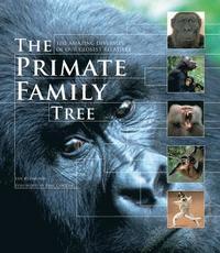 bokomslag Primate Family Tree