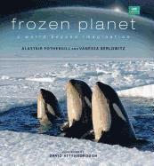 bokomslag Frozen Planet: A World Beyond Imagination