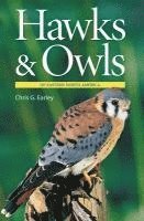 bokomslag Hawks & Owls of Eastern North America