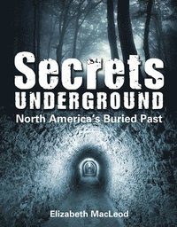 bokomslag Secrets Underground