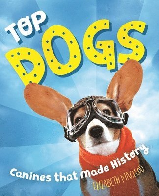Top Dogs 1