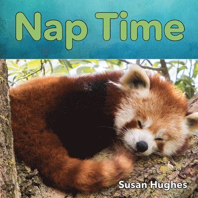 Hughes, Susan Hughes - Nap Time, Kartonnage