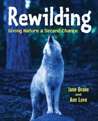 bokomslag Rewilding
